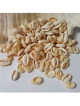 Everything Cowrie