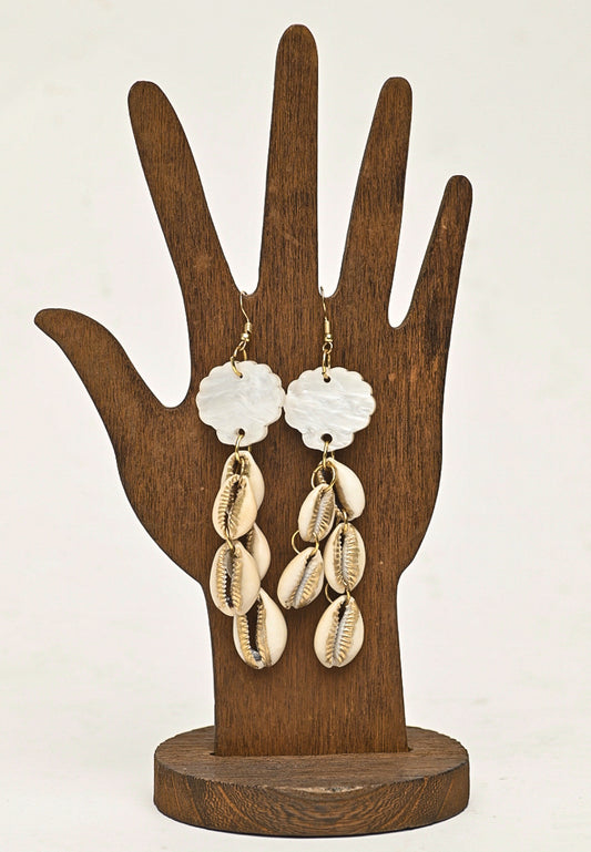 Clouded Cowrie